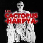 Harpya - Cactopus